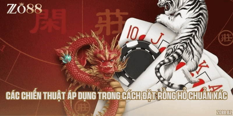 Các chiến thuật áp dụng trong cách đặt Rồng hổ chuẩn xác