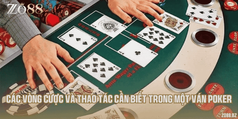 Các vòng cược và thao tác cần biết trong một ván Poker