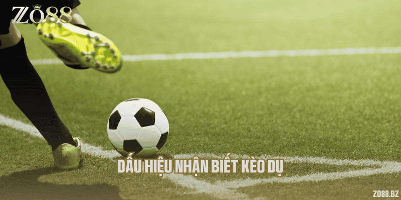 Dấu hiệu nhận biết kèo dụ