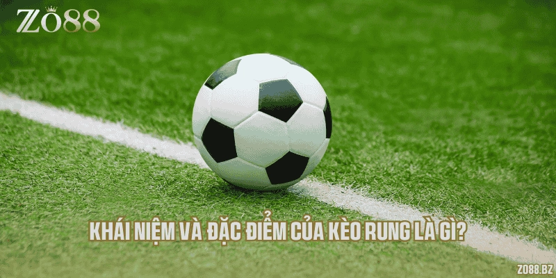 Khái niệm và đặc điểm của kèo rung là gì?