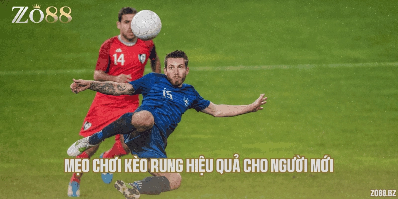 Mẹo chơi kèo rung hiệu quả cho người mới